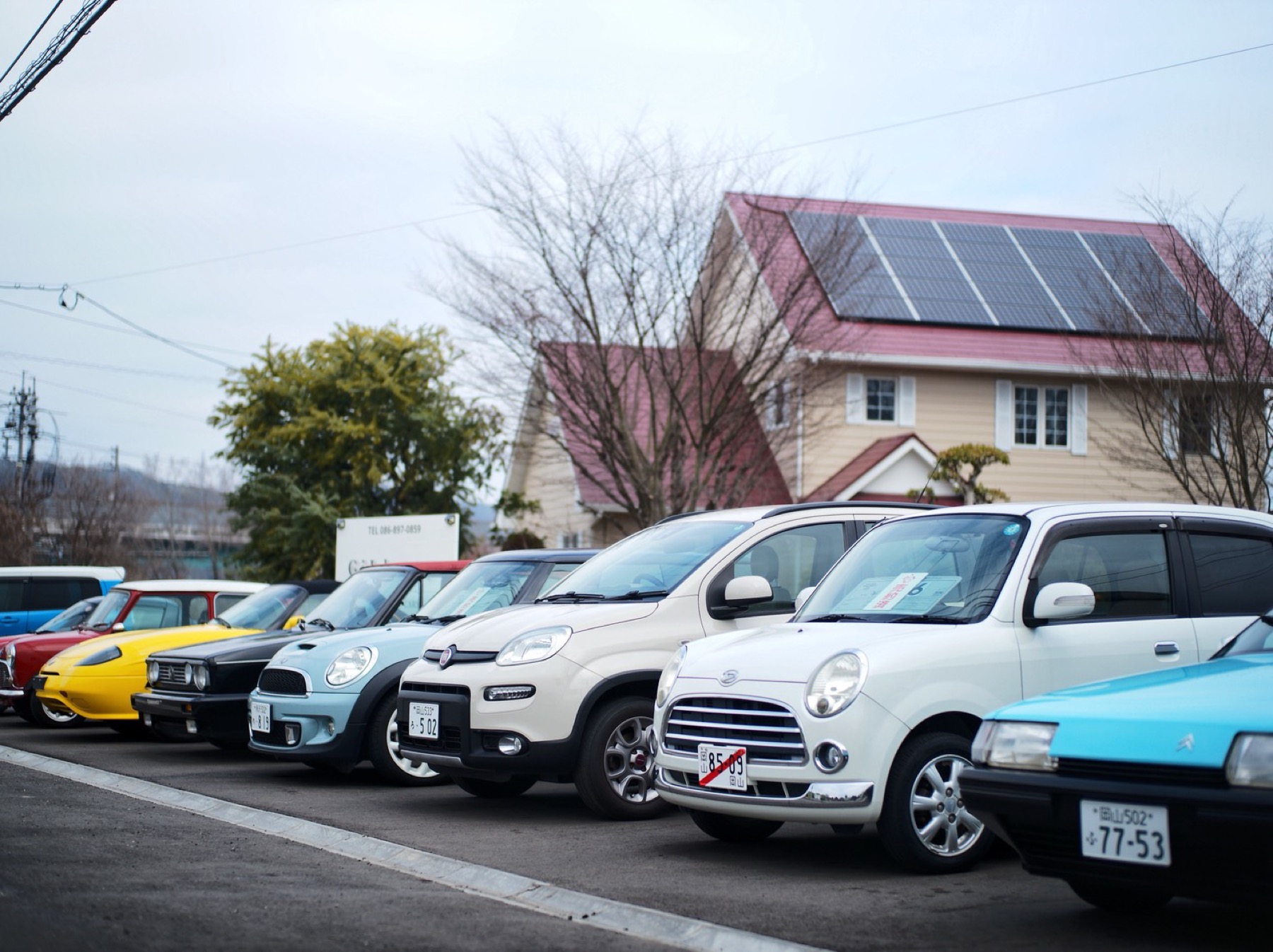 展示場に並ぶ車たち